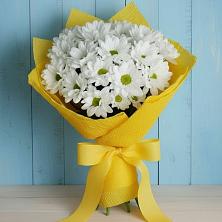 Букет цветов из:  Хризантемы в Кисловодске
