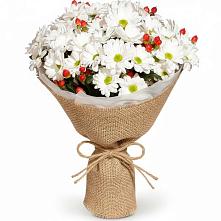 Букет цветов из:  Хризантемы #REPLACE_PRED# Кисловодске