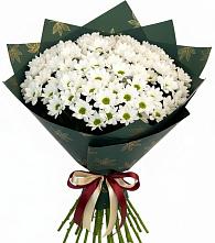 Букет цветов из:  Хризантемы #REPLACE_PRED# Кисловодске